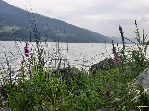 Seeblick